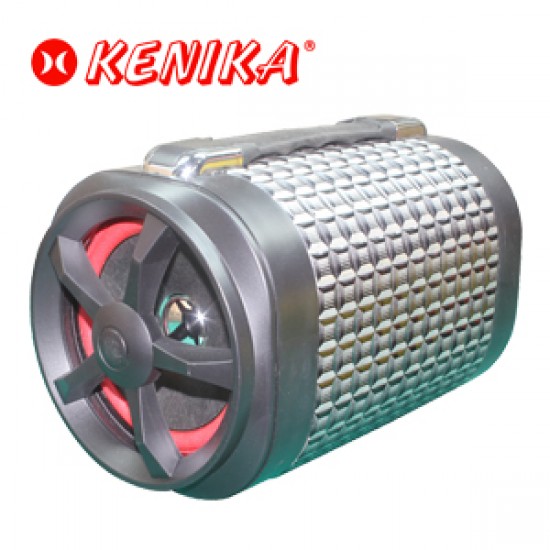 Kenika Solar Home System AK-8800